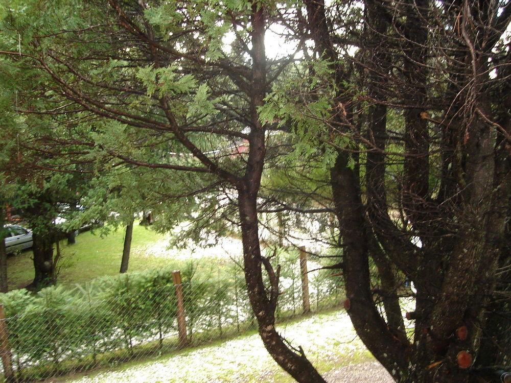 Villa Tinsel'S House San Carlos de Bariloche Exterior foto